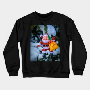 Hemlock Ravine Park 06 - Decoration in the Woods Crewneck Sweatshirt